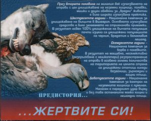 Част от плакатите на ФДФФ по темата