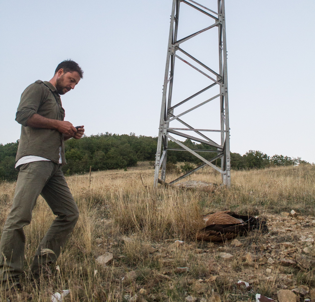 Лешояд, убит от токов удар