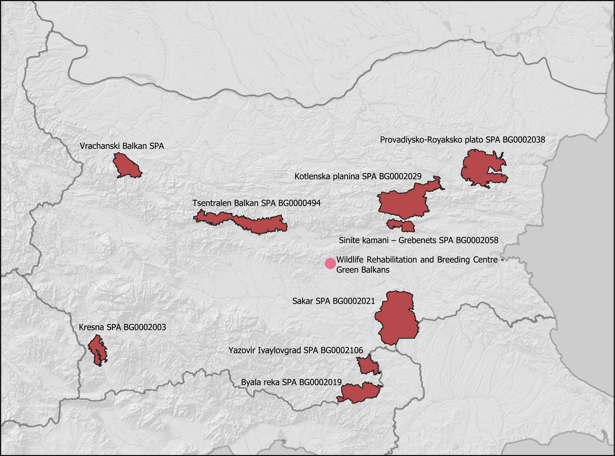 Светло бъдеще за черния лешояд - България