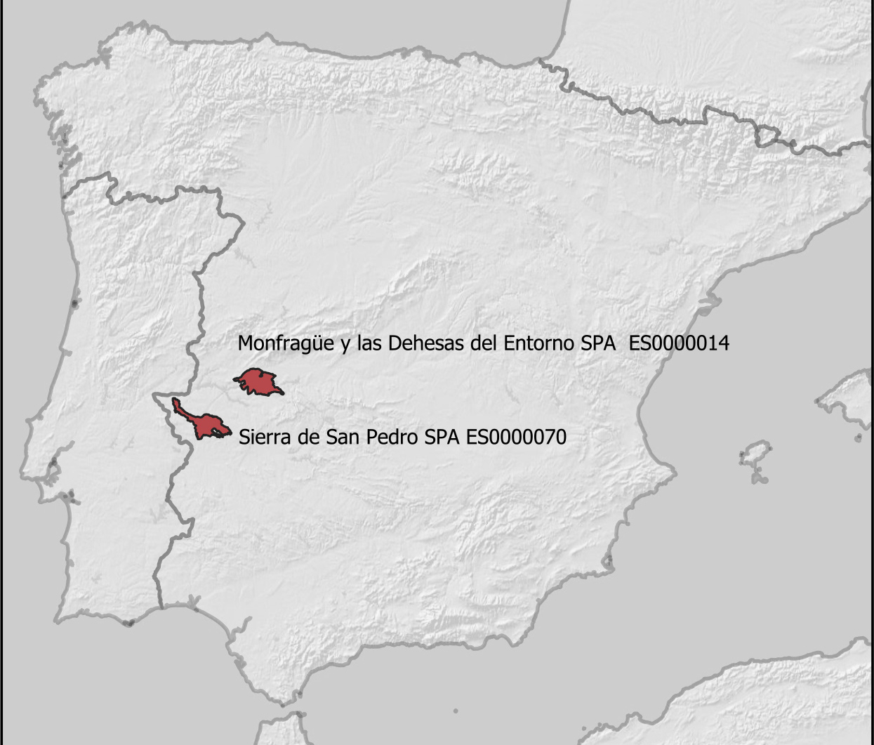 Светло бъдеще за черния лешояд - Испания