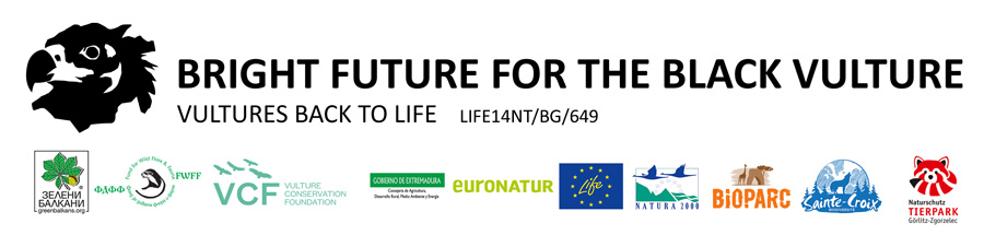 Bright Future for the Black Vulture - Vultures Back to Life - LIFE14NT/BG/649